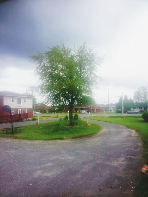Welcome Traveller Motel Kingston Bagian luar foto